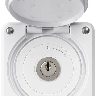 Contact pivotant à clé ENC robusto IP55 blanc avec clapet 2P 