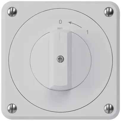 Contact pivotant ENC robusto IP55 gris 2P 
