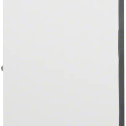 Porte gauche Hager univers pour coffret de distribution AP FWB43 650×800mm 