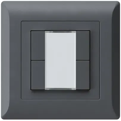 Tasto INC kallysto.line KNX 4×s/e-link antracite 