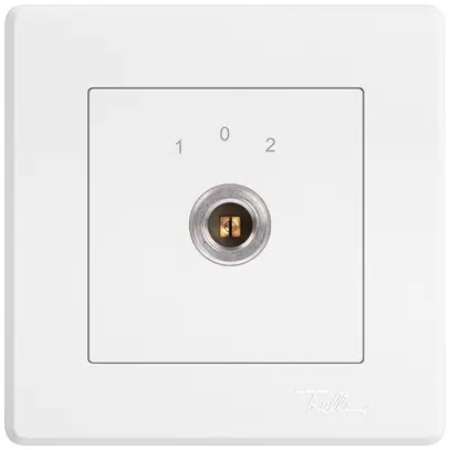 Interrupteur à clé ENC EDIZIO.liv 1P carré/fente 20A 690V 1-0-2 cont.galv.bc 