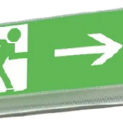 Luminaire de secours CF/SFQ 18W PE 1h 