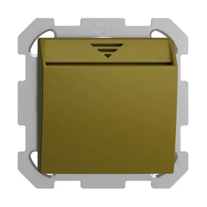 Interrupteur Hotelcard ENC 250VAC 1L EDIZIOdue olive 