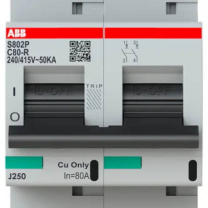 Disgiuntore ABB S802P-C80-R 2P 400V C-80A 50kA 3UM 