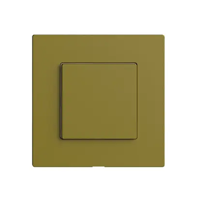 Commande pour interrupteur 1K/1T Edue Wiser olive 