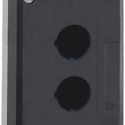 Scatola di comando AP Schneider Electric 2 elementi grigio chiaro 