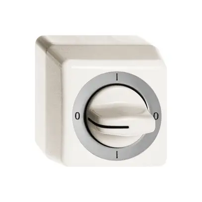 Interrupteur rotatif AP FH 0/2P blanc, avec manette 