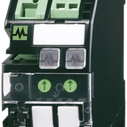 Module de surveillance de charge MICO 2.4, 2 canaux 