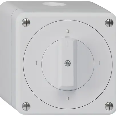 Interruttore rotativo AP robusto IP55 schema 0/1P grigio 