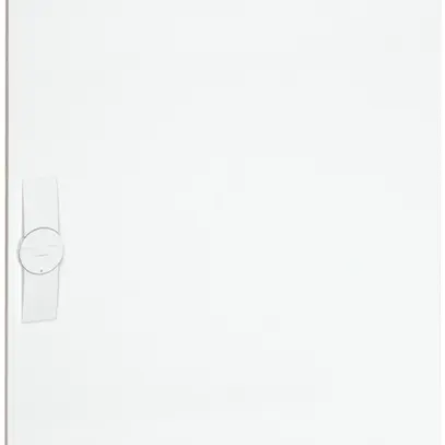 Porte droite Hager univers pour coffret de distribution AP FWB62/63/64 950×550mm 