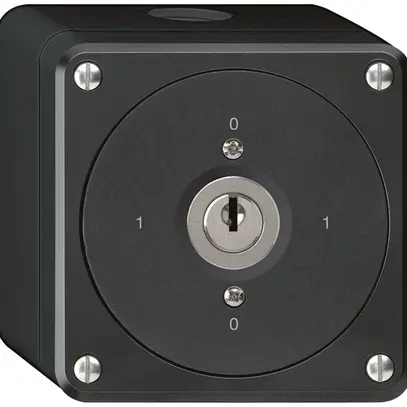 Interruttore a chiave AP robusto senza copertura 0/3P nero 