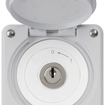 Contatto rotativo a chiave INC robusto IP55 grigio con coperchio 2P 