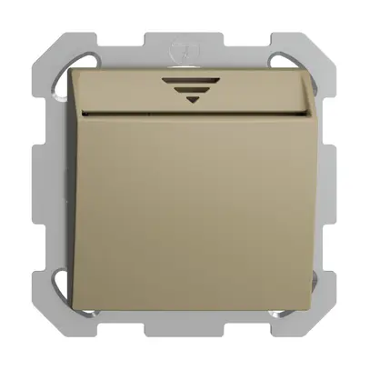 Interrupteur Hotelcard ENC 250VAC 1L EDIZIOdue sand 