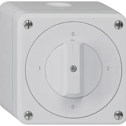 Interruttore rotativo AP robusto IP55 schema 2/1P grigio 