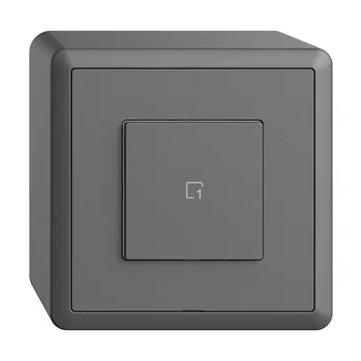 Poussoir scène AP 1 scène/1T WLAN Edue Wiser gris foncé 
