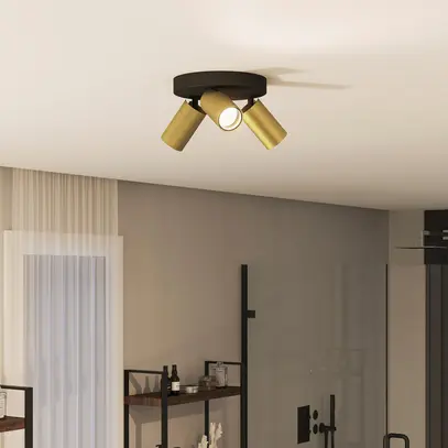 Spot Philips Idris GU10 3×5W IP44 222×196mm noir/laiton 