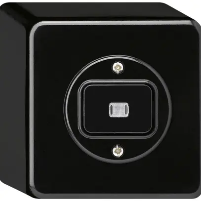Contact à poussoir lumineux AP basico AR/2L noir 