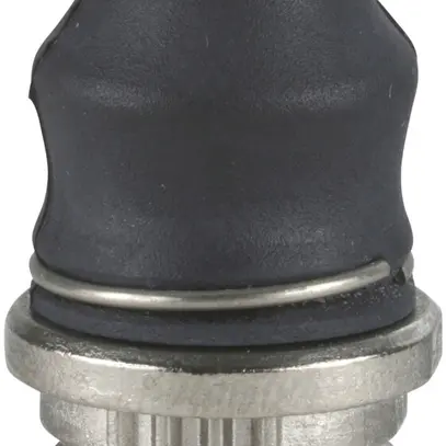 Bottone slittone Schneider Electric OSISWITCH ZCE 