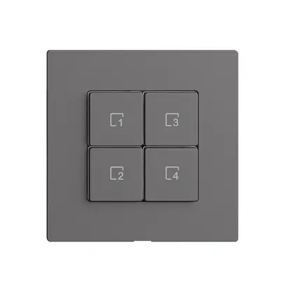 Comando per pulsante scena 4 scene/4T WLAN Edue Wiser grigio scuro 