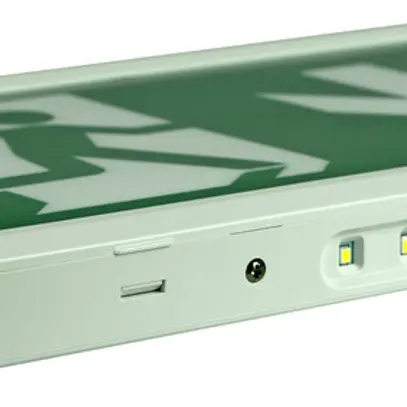 Luminaire de voie de secours LED DOTLUX EXITflat IP40 en saillie/à encastrer 