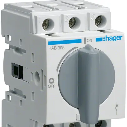 Interruttore sezionatore Hager HAB306 3L 63A 