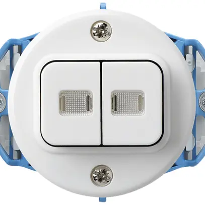 Einsatz zu UP-Leuchttaster basico 2L WW/1L weiss 