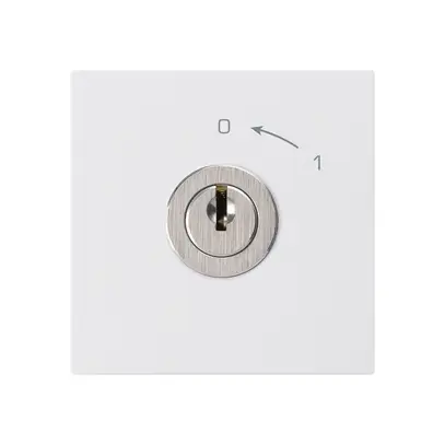 Schwenktaster 0<-1/2L weiss kallysto mit Schloss Kaba 8 