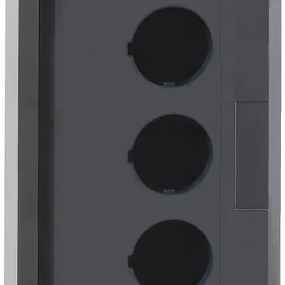 Scatola di comando AP Schneider Electric 5 elementi grigio chiaro 