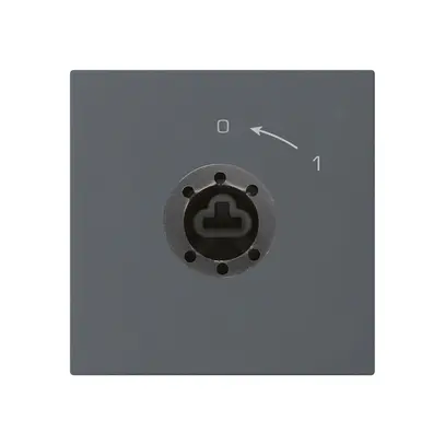 SchwenkTaster 0<-1/2L anthrazit kallysto für Schloss ohne Zylind 