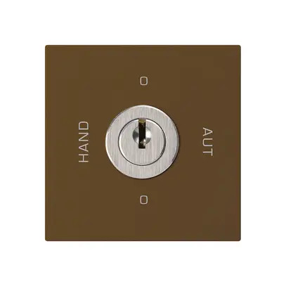 Einsatz zu Schlüsselschalter 0-Hand-0-Aut.braun kallysto 2/1P mit Schloss 