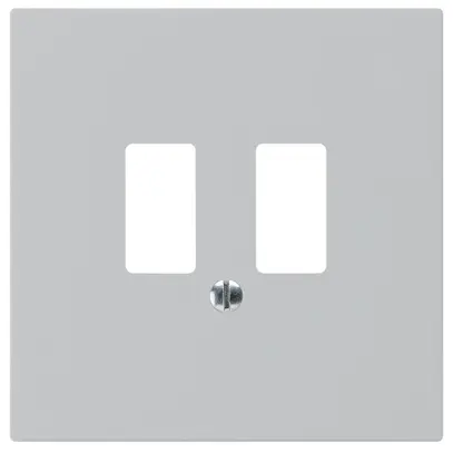 Plaque frontale kallysto pour prise USB gris clair 