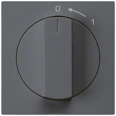 Contact pivotant 0<-1/2L anthracite kallysto avec manette 