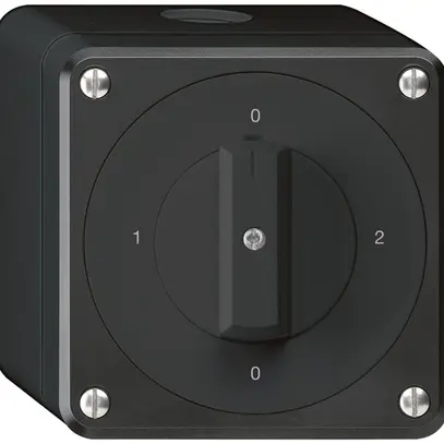 Interruttore rotativo AP robusto IP55 schema 2/1P nero 