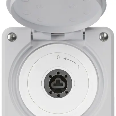 Contact pivotant à clé ENC robusto IP55 gris avec clapet sans cylindre 2P 