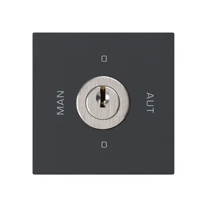 Einsatz zu Schlüsselschalter 0-Man-0-Aut. kallysto 2/1L schwarz mit Schloss 