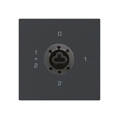 Einsatz zu Schlüsselschalter kallysto 1/1L sz f.Sicherheitsschloss o.Zylinder 