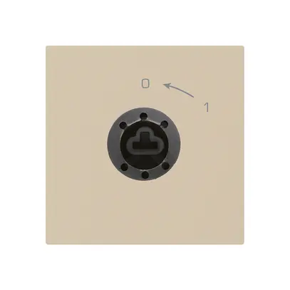 SchwenkTaster 0<-1/1L beige kallysto für Schloss ohne Zylind 