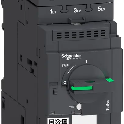Salvamotore Schneider Electric GV3L65 65A 