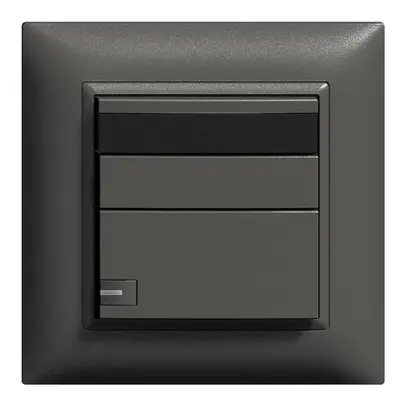 UP-IR-Universaldimmer ZEP 1K/1T Hauptstelle EDIZIOdue schwarz 