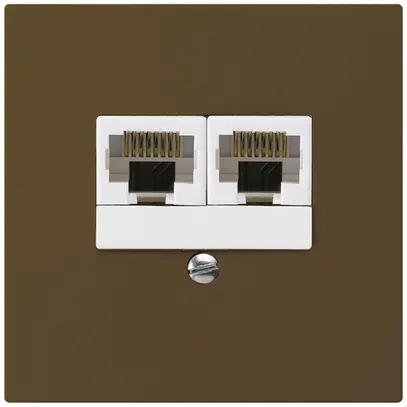 Boîte ENC kallysto 2×RJ45u brun parallèle 