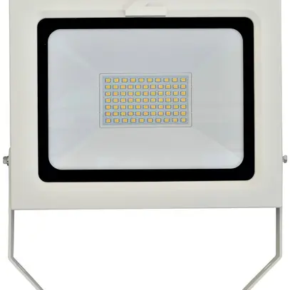 Projecteur LED Z-Licht ZL 50W 5000lm 4000K IK08 IP54 blanc 