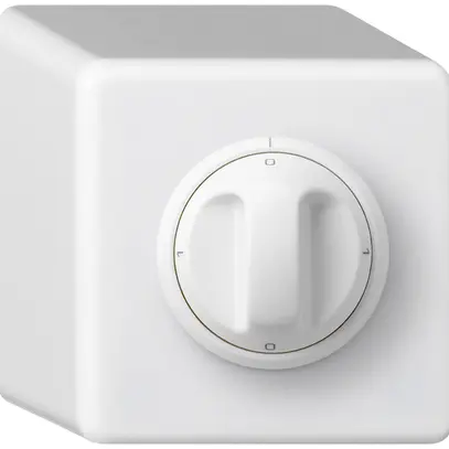 Interruttore rotativo AP basico 5/1L bianco con manopola 