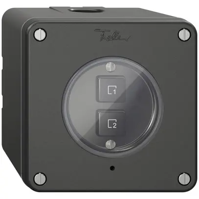 Pulsante scena AP 2 scene verticale/2T NEVO Wiser nero 