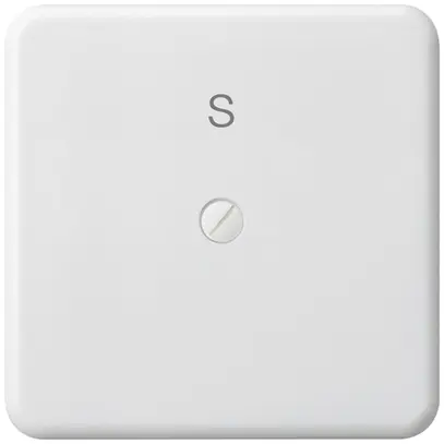 Placca di copertura basico grd.III mat.sint. bianco con incisione S 