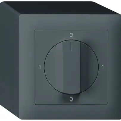 Interruttore rotativo AP kallysto 3/1L antracite con manopola 