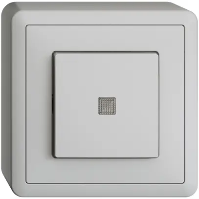 Interrupteur poussoir lum. AP EDIZIOdue 3/2L gris clair, lentille LED jaune 