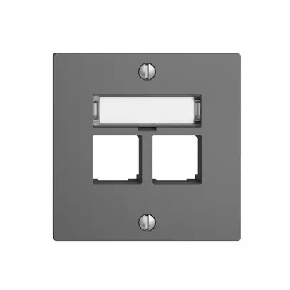 Kit di montaggio S-One EDIZIOdue F per 2×RJ45 diritto, grigio scuro 