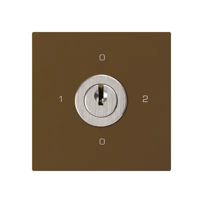 Einsatz zu Schlüsselschalter kallysto 2/1L br mit Schloss Kaba 8 