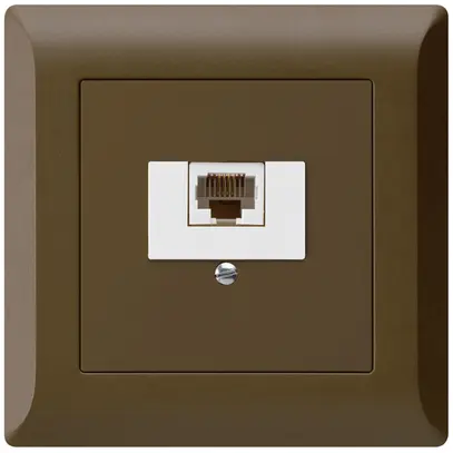 Boîte ENC kallysto.line 1×RJ45u brun 