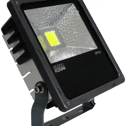 Projecteur LED 10W Daylight noir 